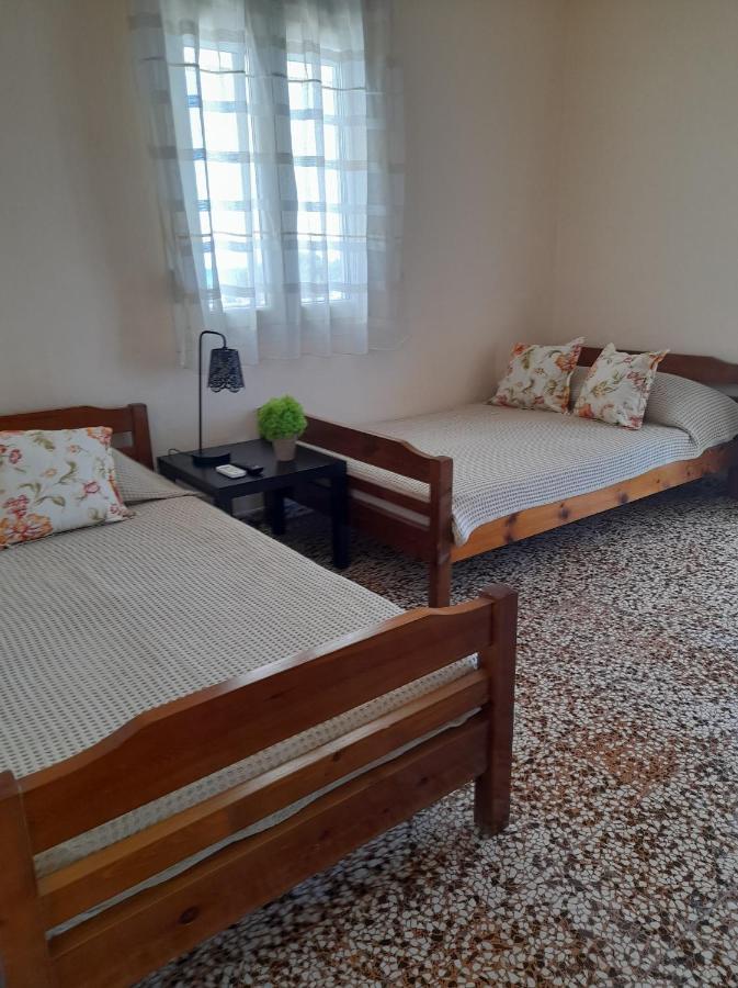 Isalos Apartments Studios Néoi Epivátai Dış mekan fotoğraf