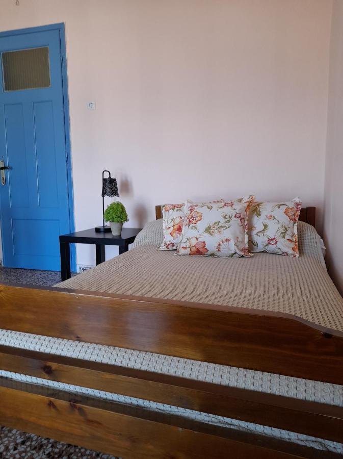 Isalos Apartments Studios Néoi Epivátai Dış mekan fotoğraf